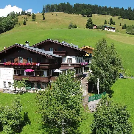 Near The Area Apartment Maria Alm am Steinernen Meer