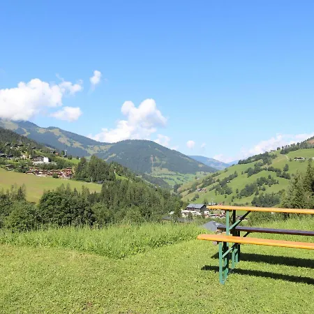 Near The Area Apartment Maria Alm am Steinernen Meer